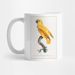 Senegal Parrot (1801—1805) Mug